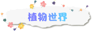 植物世界