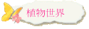植物世界